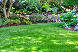 All About Landscaping: Beautify Your Yard