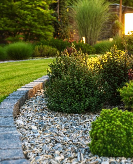 Closeup of Professionally Landscaped Flower Bed with Decorative Green Garden Plants and Evenly Mowed Lawn in the Background.